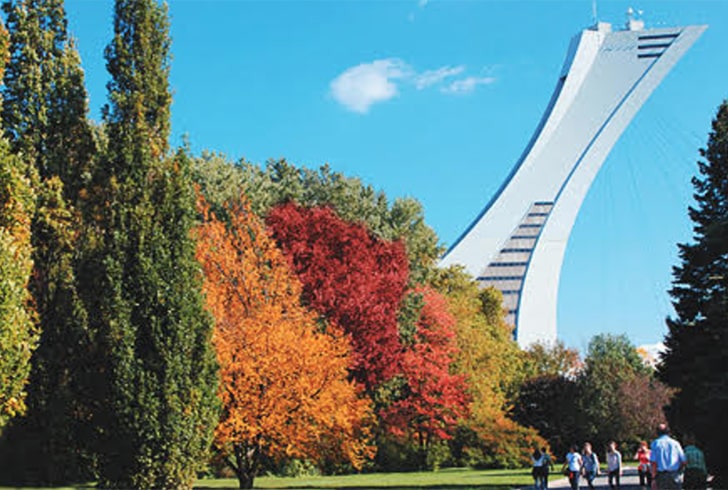 Montreal Celebration 1